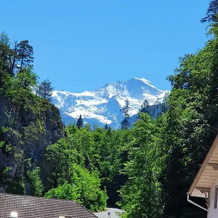 Swiss Mountains 公寓 因特拉肯