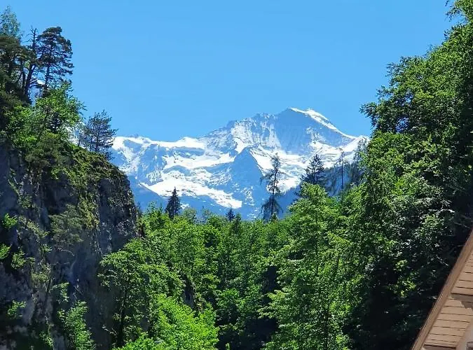 Swiss Mountains Apartment Interlaken